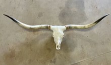 RRH SKULL $900
